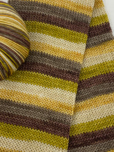 Load image into Gallery viewer, YELLOWSTONE SERIES Self striping sock yarn- A Man Named Dutton