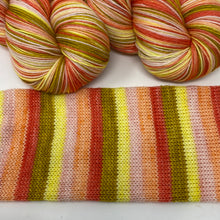 Load image into Gallery viewer, YELLOWSTONE SERIES Self striping sock yarn-Sunrise at the Bunkhouse