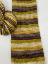 Load image into Gallery viewer, YELLOWSTONE SERIES Self striping sock yarn- A Man Named Dutton