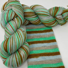 Load image into Gallery viewer, Self striping sock yarn- I Got My Toes in the Water