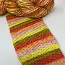 Load image into Gallery viewer, YELLOWSTONE SERIES Self striping sock yarn-Sunrise at the Bunkhouse