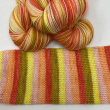 Load image into Gallery viewer, YELLOWSTONE SERIES Self striping sock yarn-Sunrise at the Bunkhouse