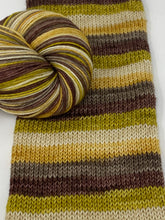 Load image into Gallery viewer, YELLOWSTONE SERIES Self striping sock yarn- A Man Named Dutton