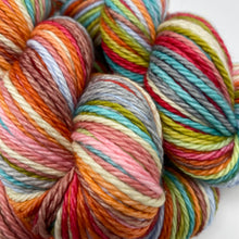 Load image into Gallery viewer, BULKY 12 stripe SW SQUISHY MERINO Going Up the Country!