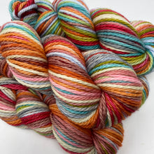 Load image into Gallery viewer, BULKY 12 stripe SW SQUISHY MERINO Going Up the Country!