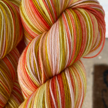 Load image into Gallery viewer, YELLOWSTONE SERIES Self striping sock yarn-Sunrise at the Bunkhouse