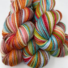 Load image into Gallery viewer, BULKY 12 stripe SW SQUISHY MERINO Going Up the Country!
