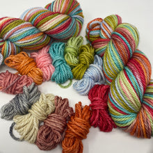 Load image into Gallery viewer, BULKY 12 stripe SW SQUISHY MERINO Going Up the Country!
