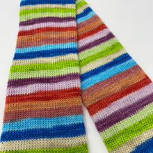 Load image into Gallery viewer, ZIPPER CHICKEN New Colorway
