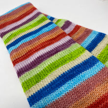 Load image into Gallery viewer, ZIPPER CHICKEN New Colorway
