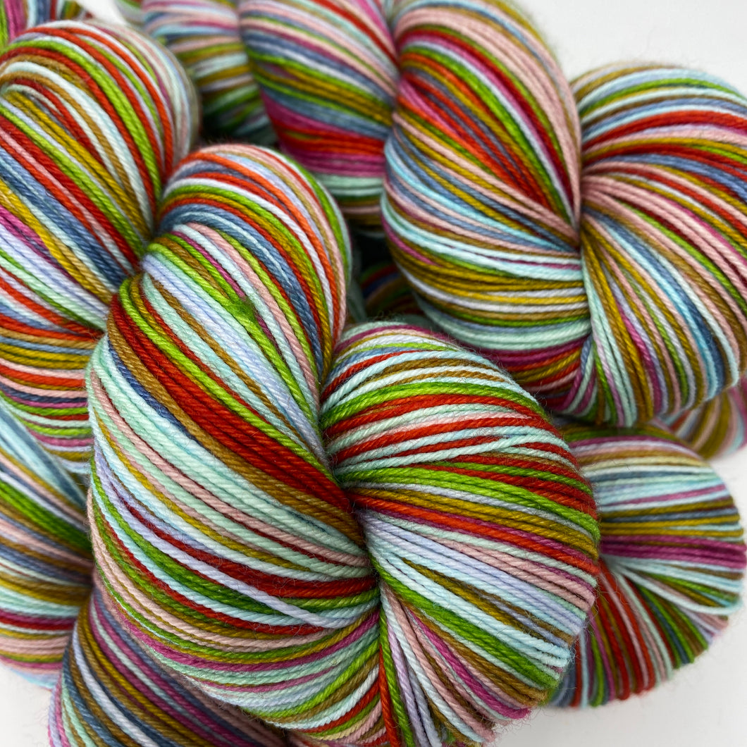 Self striping sock yarn- Old Farm Witches